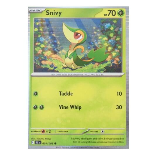 Pokémon promo karta Snivy z kolekcie plagátov Black and White