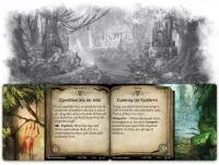 Arkham Horror: The Card Game - The Forgotten Age - karty 2