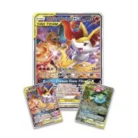 Pokémon Tag Team Generations Premium Collection - foilové promo karty