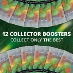 Magic the Gathering Zendikar Rising Collector Booster Box - obsah boosterů