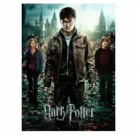 Puzzle Harry Potter XXL 300 dílků