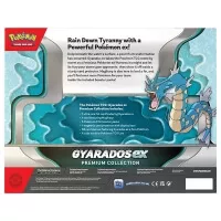 Zadní strana balení Pokémon Premium Collection Gyarados ex