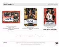2023 Panini Select WWE Wrestling Hobby 3