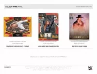 2023 Panini Select WWE Wrestling Hobby 4