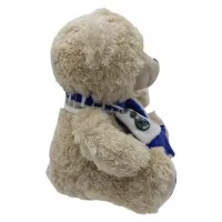 Plyšový medveď Real Madrid FC - 20 cm