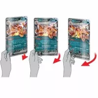 Pokémon Charizard ex Special Collection 