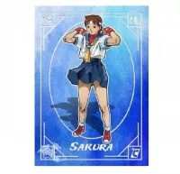 Street Fighter Alpha Trading Cards - Warriors' Dreams - Collector Box