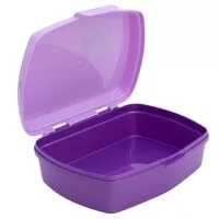 Box na občerstvenie Frozen