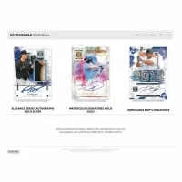 2025 Panini Impeccable Basketball Hobby Box - karty NBA
