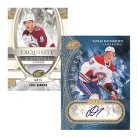 Karty NHL 2025 2026 Upper Deck Ice Hockey